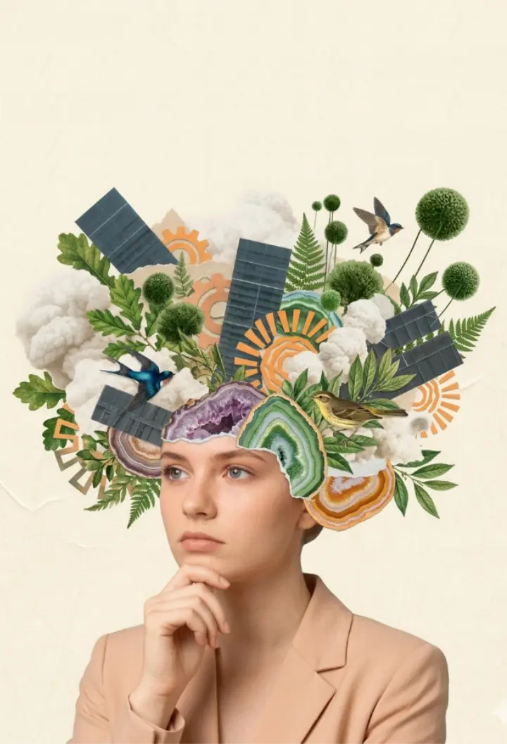 Nature Calls Digital Solutions Web Design